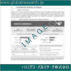 グローバルリサーチ調査資料のイメージ